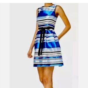 Striped Blue and Black Women's Dress